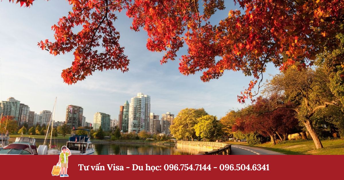 xin visa canada xin visa canada