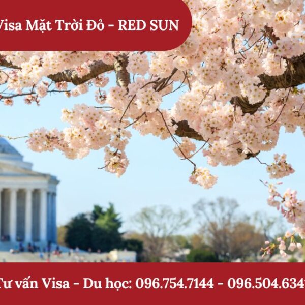 visa mỹ
